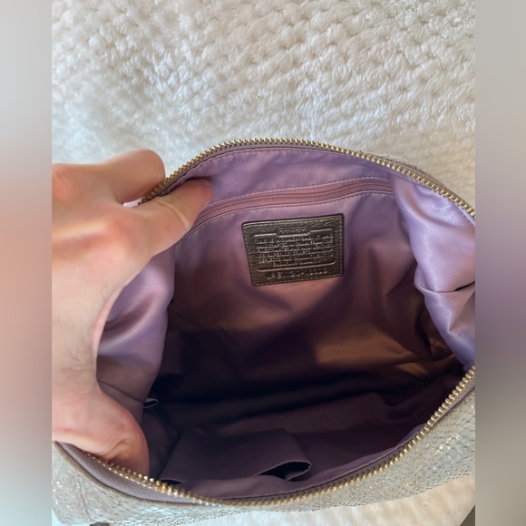 Coach Kristen Grey Python Embossed Leather Hobo Bag - Picture 8 of 10